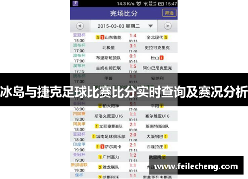 冰岛与捷克足球比赛比分实时查询及赛况分析