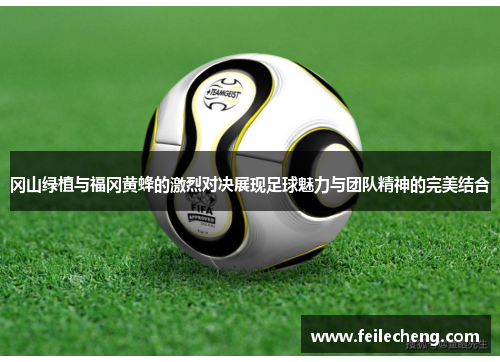 冈山绿植与福冈黄蜂的激烈对决展现足球魅力与团队精神的完美结合