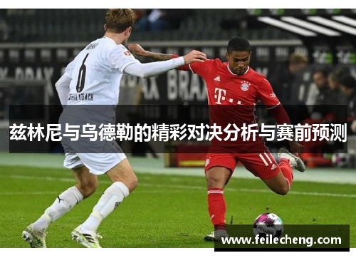 兹林尼与乌德勒的精彩对决分析与赛前预测